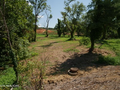 1735 Hwy 411 - photo 6