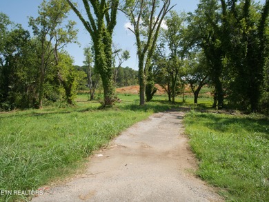 1735 Hwy 411 - photo 7