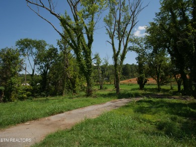 1735 Hwy 411 - photo 8