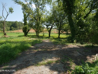 1735 Hwy 411 - photo 9
