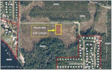 Georges Lake Lot For Sale in Florahome Florida