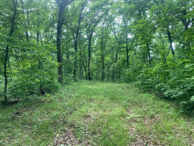 Lake Acreage For Sale in Moravia, Iowa