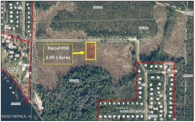 Georges Lake Lot For Sale in Florahome Florida