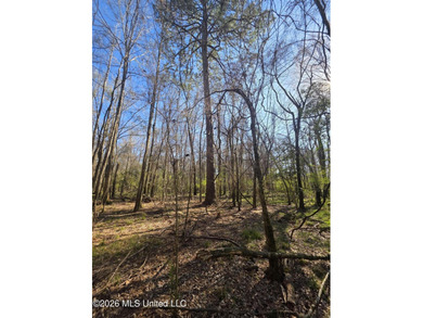 160+/- Acres - Bogue Chitto, Mississippi | Riverfront Hunting - photo 11