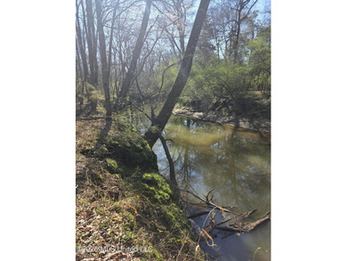 160+/- Acres - Bogue Chitto, Mississippi | Riverfront Hunting - photo 12