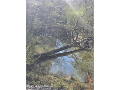 160+/- Acres - Bogue Chitto, Mississippi | Riverfront Hunting - photo 15