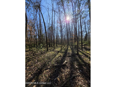 160+/- Acres - Bogue Chitto, Mississippi | Riverfront Hunting - photo 17