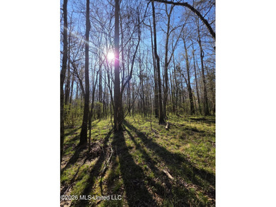 160+/- Acres - Bogue Chitto, Mississippi | Riverfront Hunting - photo 18