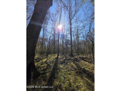 160+/- Acres - Bogue Chitto, Mississippi | Riverfront Hunting - photo 21