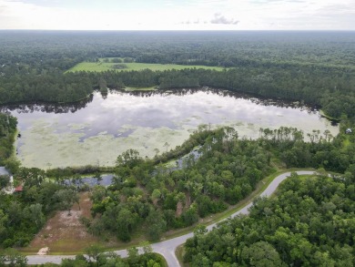 Lake Lot For Sale in Wewahitchka, Florida