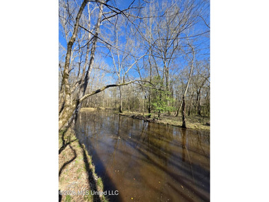 160+/- Acres - Bogue Chitto, Mississippi | Riverfront Hunting - photo 24