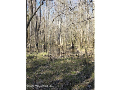 160+/- Acres - Bogue Chitto, Mississippi | Riverfront Hunting - photo 25