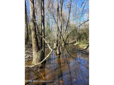 160+/- Acres - Bogue Chitto, Mississippi | Riverfront Hunting - photo 30
