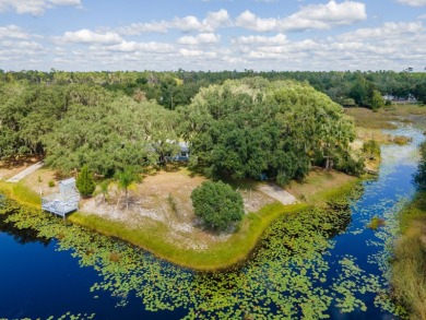 Lake Kerr Home For Sale in Fort Mccoy Florida