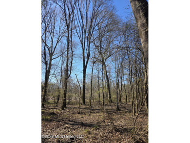 160+/- Acres - Bogue Chitto, Mississippi | Riverfront Hunting - photo 31
