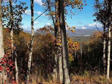 Lake Acreage For Sale in Blairsville, Georgia