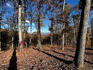 Stunning Lot with Mountain & Lake Views in Highland Park Welcome - photo 3
