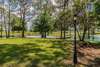 Set within 34+- acres of protected Florida ranchland, this - photo 34