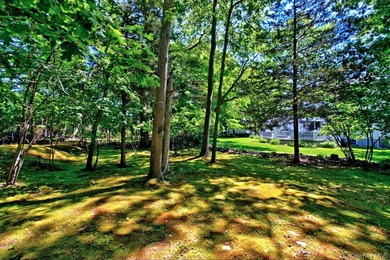 Elegant and Immaculate 4 Bedroom, 2 1/2 Bath Victorian Style - photo 35