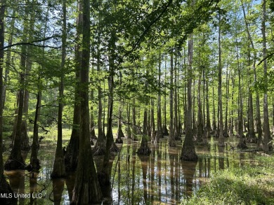 Lake Acreage For Sale in Mclain, Mississippi