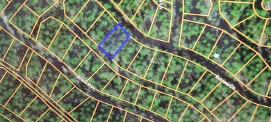 Lake Lago  Lot For Sale in Hot Springs Village Arkansas