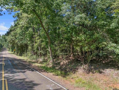 (private lake, pond, creek) Acreage For Sale in Laneville Texas