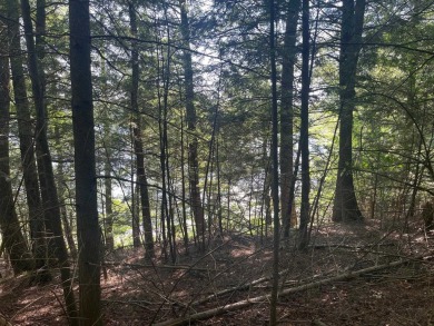 Lake Acreage For Sale in Townsend, Wisconsin