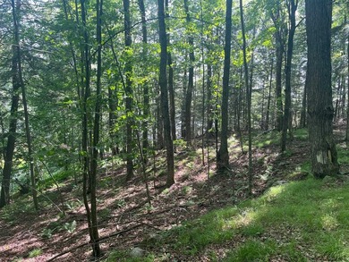 Additional listing photo 2
