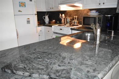 WELL MAINTAINED 1 BEDROOM, 1 BATH CONDO WITH VIEW OF SOUTH CANAL - photo 5