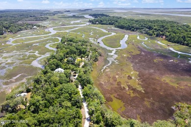 Discover the beauty of coastal Georgia on this exceptional - photo 12
