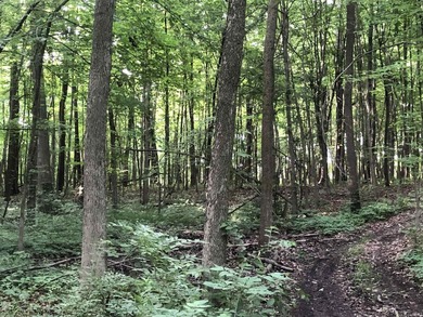 Land for sale, 10 +/- acres in Allen County, IN, just north of - photo 4