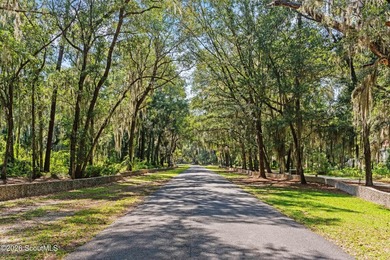 Discover the beauty of coastal Georgia on this exceptional - photo 14