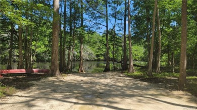 Withlacoochee River - Marion County Acreage For Sale in Dunnellon Florida
