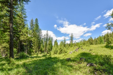 Lake Lot For Sale in Trego, Montana