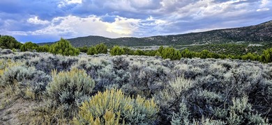 Introducing the Reverse C Ranch, a landmark 6,576-acre combined - photo 5