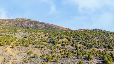 Introducing the Reverse C Ranch, a landmark 6,576-acre combined - photo 7