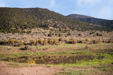 Introducing the Reverse C Ranch, a landmark 6,576-acre combined - photo 8