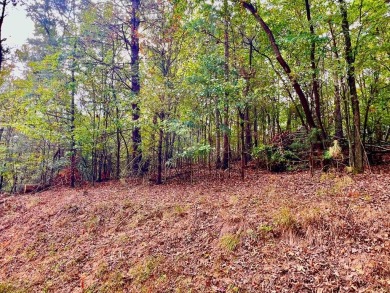 (private lake, pond, creek) Lot For Sale in Ellijay Georgia