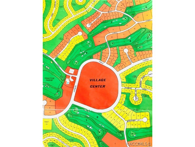 21.35 acre assemblage of three parcels at Cypress Village Center - photo 1