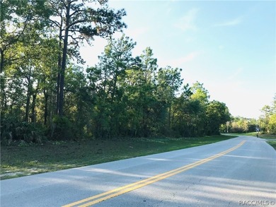 21.35 acre assemblage of three parcels at Cypress Village Center - photo 7