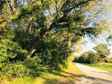 21.35 acre assemblage of three parcels at Cypress Village Center - photo 8