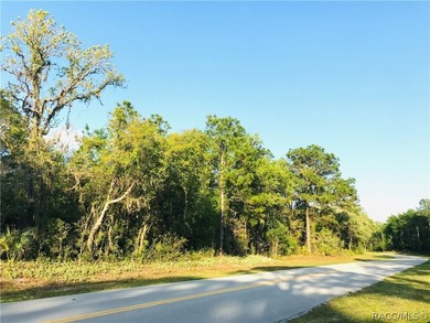 21.35 acre assemblage of three parcels at Cypress Village Center - photo 9