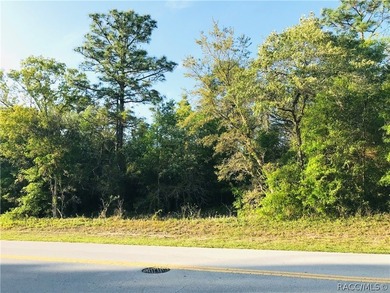 21.35 acre assemblage of three parcels at Cypress Village Center - photo 10