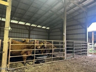 Welcome to Fullington Farms, an 85.4-acre turn-key estate in - photo 27