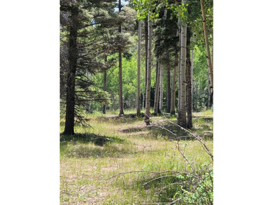 Monte Verde Lake Acreage For Sale in Angel Fire New Mexico