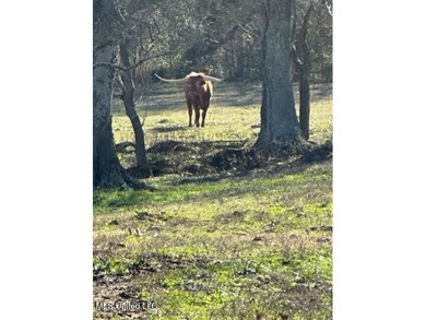 Welcome to Fullington Farms, an 85.4-acre turn-key estate in - photo 38