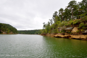 Smith Lake (Clear Creek) Deep water lot in the gated Hidden - Lake Lot For Sale in Jasper, Alabama