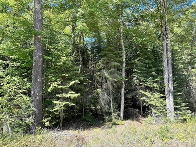 Spacious building site in Hemlock Views just west of Manistique - photo 2
