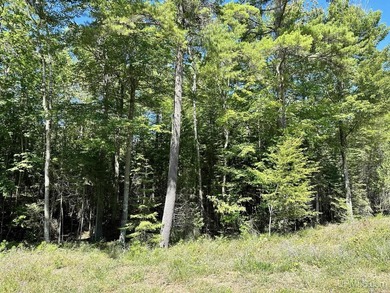 Spacious building site in Hemlock Views just west of Manistique - photo 3