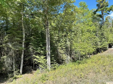 Spacious building site in Hemlock Views just west of Manistique - photo 4